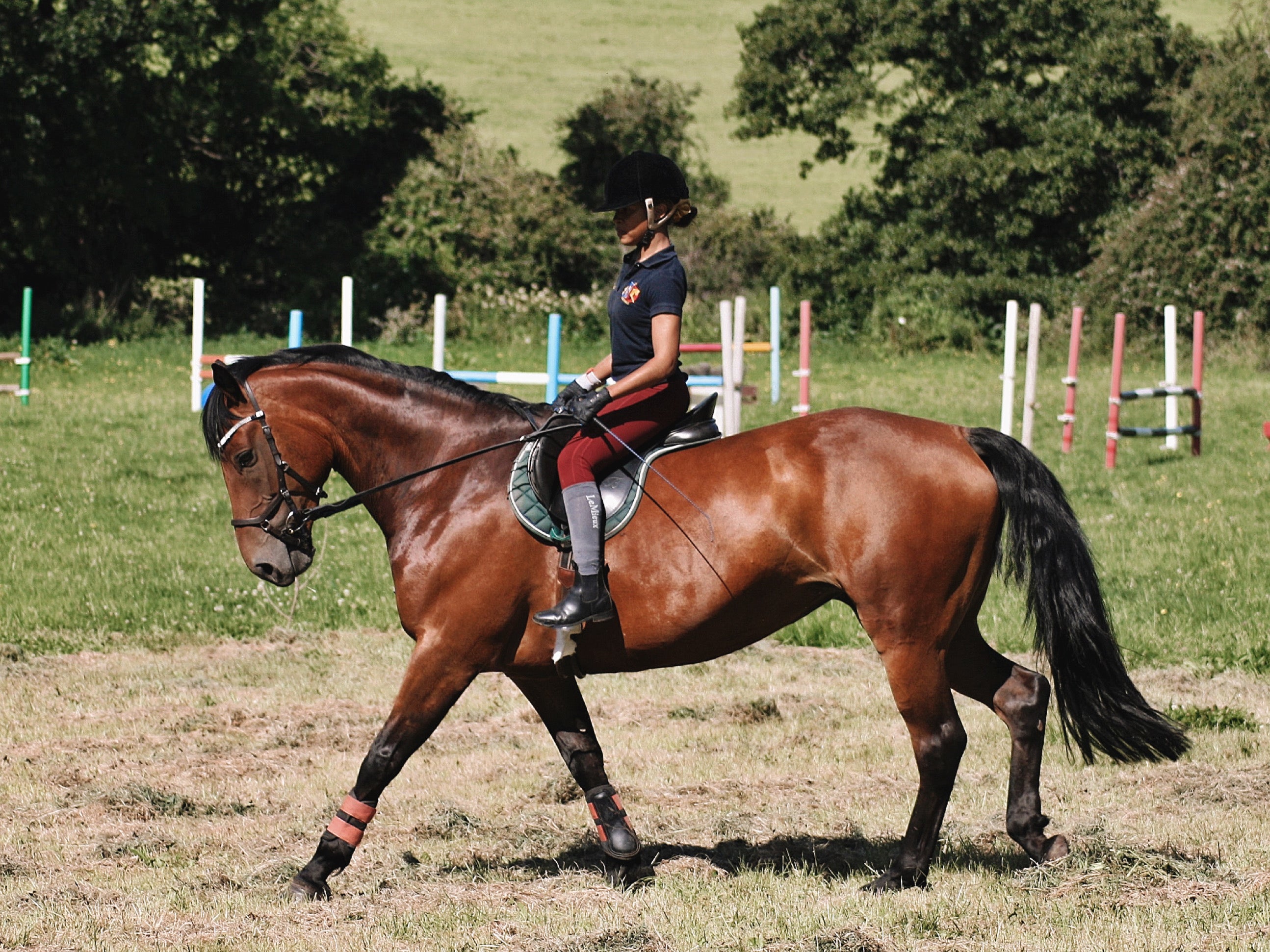 Parcal Rider A Day in the Life of a Para-Rider – Flexars
